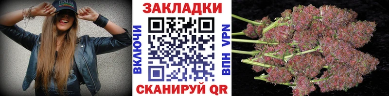 Где можно купить наркотики Жиздра Псилоцибиновые грибы  Alpha PVP  МЕФ  Гашиш  Каннабис  COCAIN 