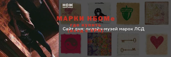 соль ск Алзамай