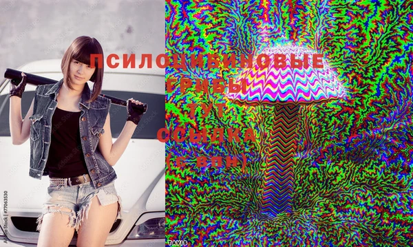 соль ск Алзамай