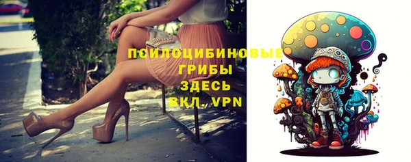 прущий лед Алексеевка