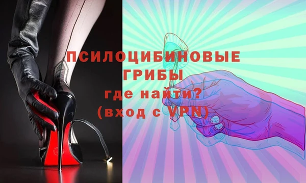 соль ск Алзамай