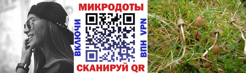Галлюциногенные грибы мухоморы  закладка  Жиздра 